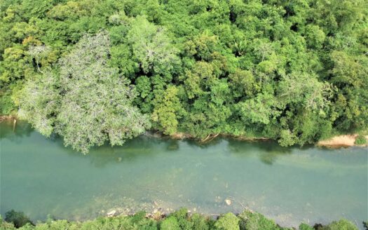 CY84: BUY REAL ESTATE IN BELIZE CONSISTING OF 6.95 ACRES WITH +-350 FT BELIZE RIVER NEAR BELMOPAN CITY! CAYO REAL ESTATE FOR SALE! RIVERFRONT FOR SALE IN CAYO! CAYO LAND FOR SALE