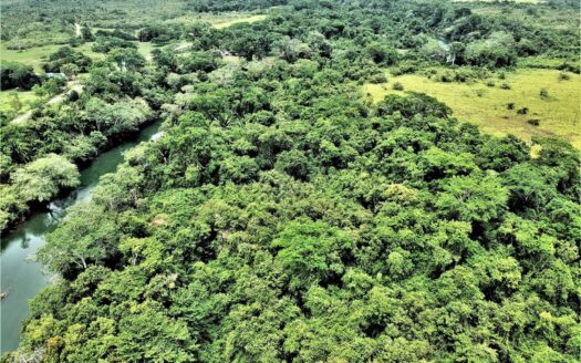 CY85: BELIZE REAL ESTATE FOR SALE CONSISTING OF 7.84 ACRES WITH +-320 FT BELIZE RIVER FRONTAGE NEAR BELMOPAN CITY!